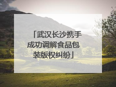 武汉长沙携手成功调解食品包装版权纠纷