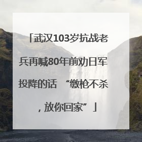 武汉103岁抗战老兵再喊80年前劝日军投降的话 “缴枪不杀，放你回家”