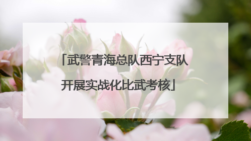 武警青海总队西宁支队开展实战化比武考核