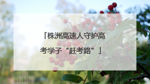 株洲高速人守护高考学子“赶考路”