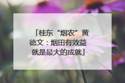 桂东“烟农”黄德文：烟田有效益就是最大的成就