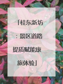 桂东新坊：景区道路提质赋能康旅体验