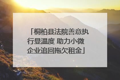 桐柏县法院善意执行显温度 助力小微企业追回拖欠租金