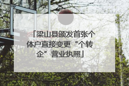 梁山县颁发首张个体户直接变更“个转企”营业执照