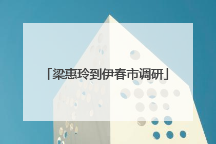梁惠玲到伊春市调研