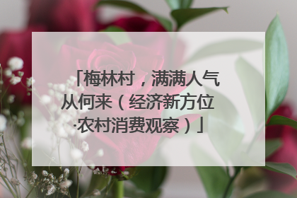 梅林村，满满人气从何来（经济新方位·农村消费观察）