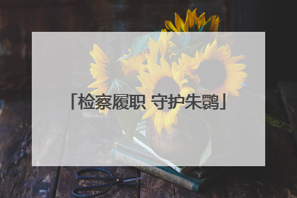 检察履职 守护朱鹮