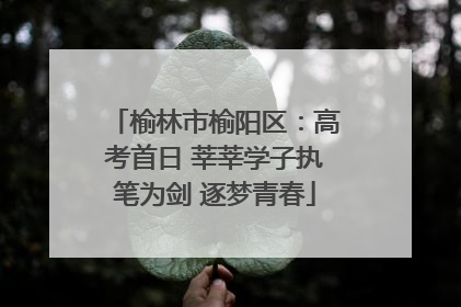 榆林市榆阳区：高考首日 莘莘学子执笔为剑 逐梦青春