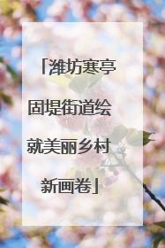 潍坊寒亭固堤街道绘就美丽乡村新画卷