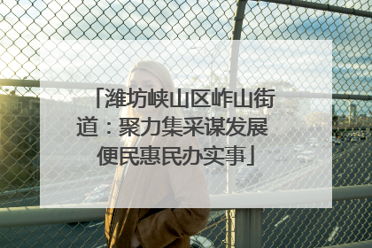 潍坊峡山区岞山街道：聚力集采谋发展 便民惠民办实事