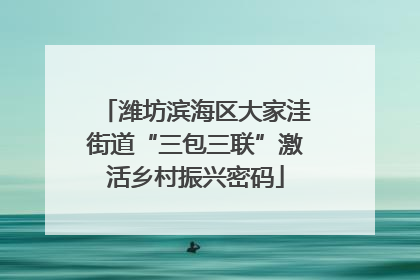 潍坊滨海区大家洼街道“三包三联”激活乡村振兴密码