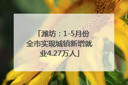 潍坊：1-5月份全市实现城镇新增就业4.27万人