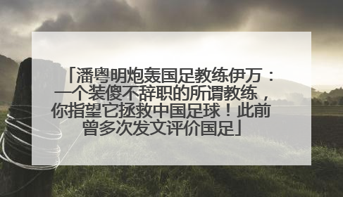 潘粤明炮轰国足教练伊万：一个装傻不辞职的所谓教练，你指望它拯救中国足球！此前曾多次发文评价国足