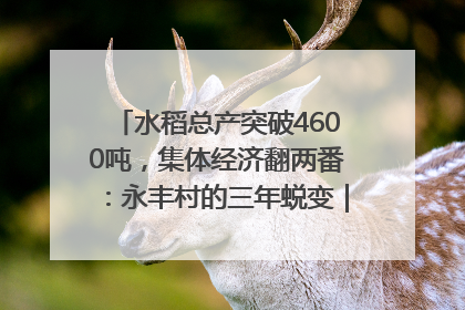 水稻总产突破4600吨，集体经济翻两番：永丰村的三年蜕变｜您牵挂的四川