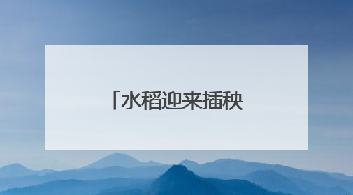 水稻迎来插秧季！青岛这些稻田披“绿装”