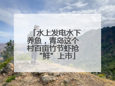 水上发电水下养鱼，青岛这个村百亩竹节虾抢“鲜”上市