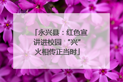 永兴县：红色宣讲进校园 “兴”火相传正当时