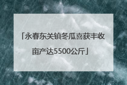 永春东关镇冬瓜喜获丰收 亩产达5500公斤