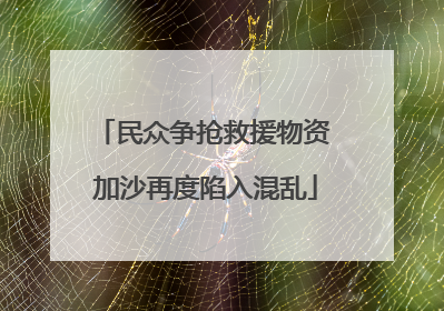 民众争抢救援物资 加沙再度陷入混乱