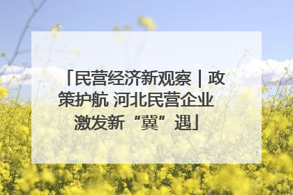 民营经济新观察｜政策护航 河北民营企业激发新“冀”遇