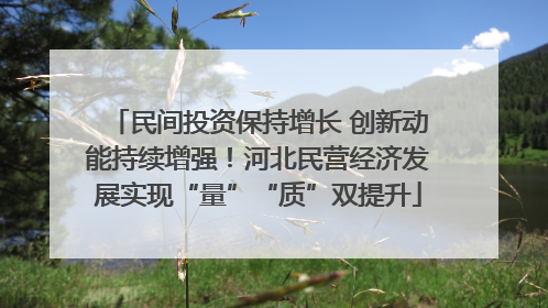 民间投资保持增长 创新动能持续增强！河北民营经济发展实现“量”“质”双提升