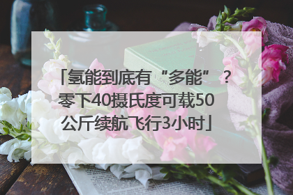 氢能到底有“多能”？零下40摄氏度可载50公斤续航飞行3小时
