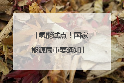 氢能试点！国家能源局重要通知
