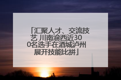 汇聚人才、交流技艺 川南渝西近300名选手在酒城泸州展开技能比拼