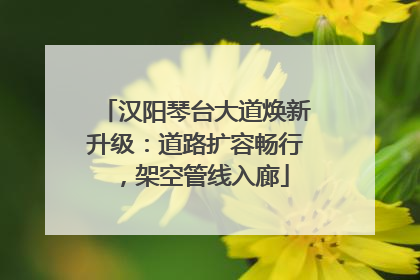 汉阳琴台大道焕新升级：道路扩容畅行，架空管线入廊