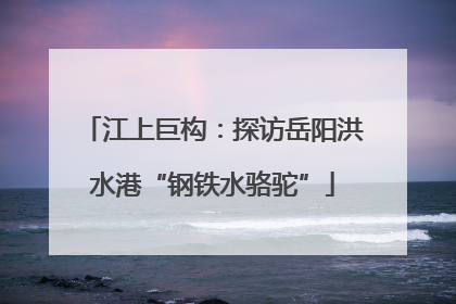 江上巨构：探访岳阳洪水港“钢铁水骆驼”