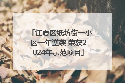 江夏区纸坊街一小区一年逆袭 荣获2024年示范项目