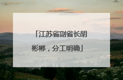 江苏省副省长胡彬郴，分工明确