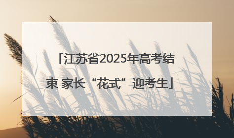 江苏省2025年高考结束 家长“花式”迎考生