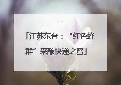 江苏东台：“红色蜂群”采酿快递之蜜