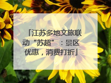 江苏多地文旅联动“苏超”：景区优惠，消费打折