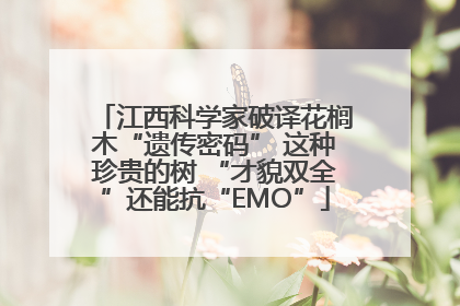 江西科学家破译花榈木“遗传密码” 这种珍贵的树 “才貌双全”还能抗“EMO”
