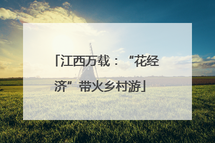 江西万载：“花经济”带火乡村游