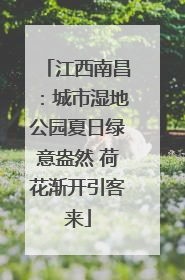 江西南昌：城市湿地公园夏日绿意盎然 荷花渐开引客来