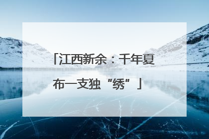 江西新余：千年夏布一支独“绣”
