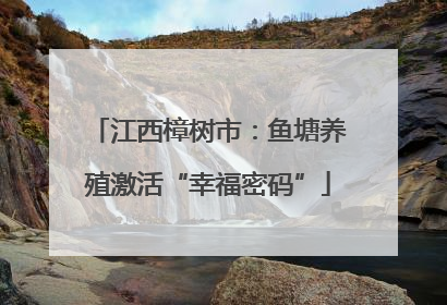 江西樟树市：鱼塘养殖激活“幸福密码”