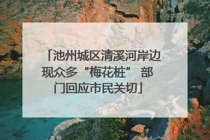 池州城区清溪河岸边现众多“梅花桩” 部门回应市民关切
