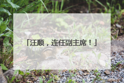 汪顺，连任副主席！