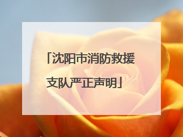 沈阳市消防救援支队严正声明