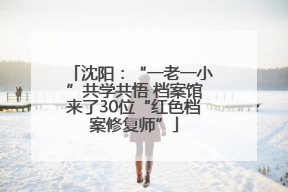 沈阳：“一老一小”共学共悟 档案馆来了30位“红色档案修复师”