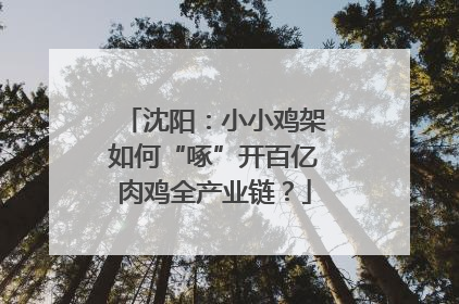 沈阳：小小鸡架如何“啄”开百亿肉鸡全产业链？