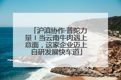 沪滇协作·普陀力量〡当云南牛肉遇上意面，这家企业迈上自研发展快车道