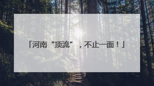 河南“顶流”，不止一面！