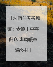 河南兰考考城镇：麦浪千重喜归仓 惠风暖意满乡村