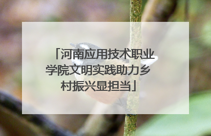 河南应用技术职业学院文明实践助力乡村振兴显担当