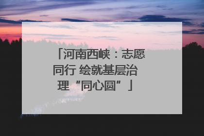 河南西峡：志愿同行 绘就基层治理“同心圆”
